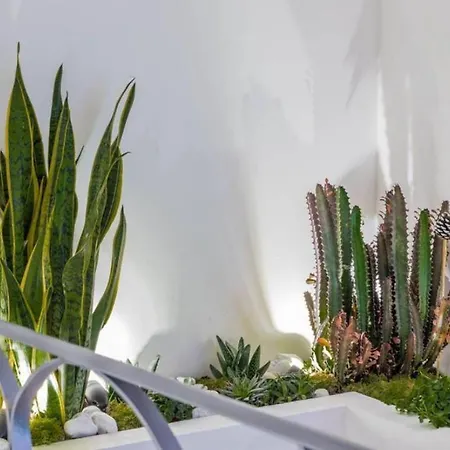 Governo Vecchio Navona